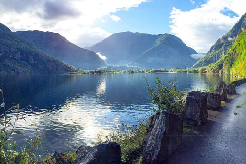 Tour guidato privato - Crociera sul Nærøyfjord e ferrovia di Flåm