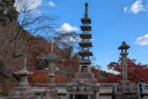 Osaka: Katsuoji Temple Guided Tour with Bus Transfer Private Tour in English with Meeting Point