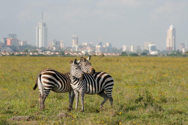 Sheldrick Baby-Elefanten, Giraffenzentrum und Karen Blixen