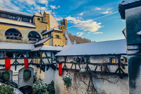 Brașov: Bear Sanctuary and Bran Castle With Tickets