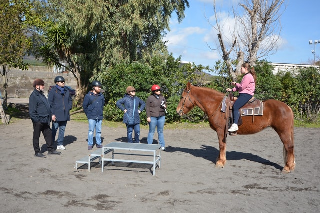 Vesuvio: Horseback Riding Tour with Pompeian Wine Tasting