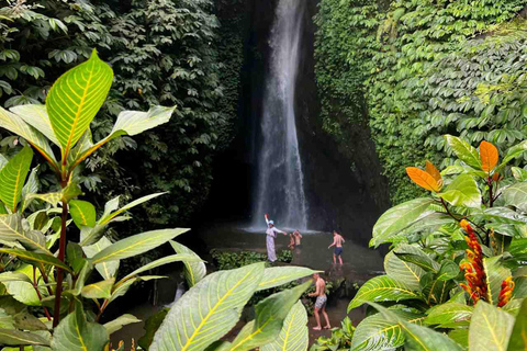 Bali : Visite privée d&#039;une jounée au nord de Bali (UNESCO)Visite privée de l&#039;UNESCO AVEC billet d&#039;entrée