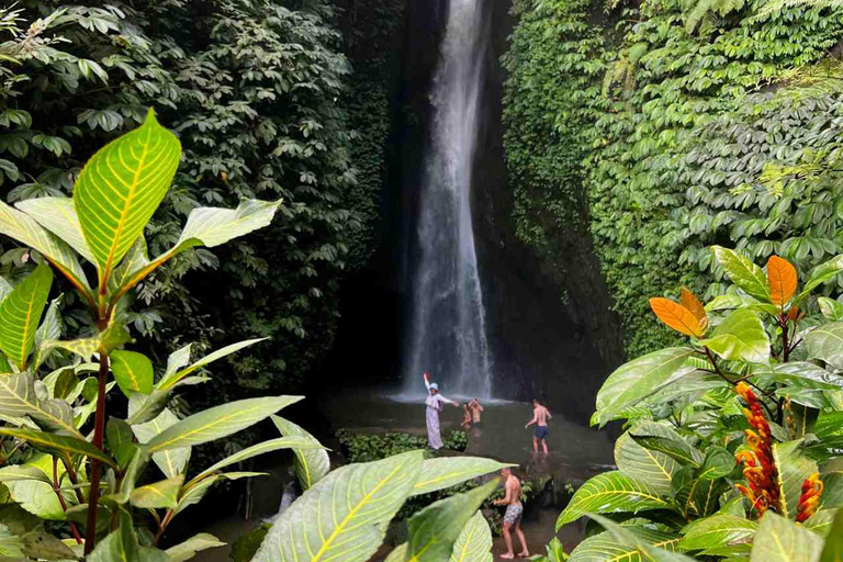 Bali : Visite privée d&#039;une jounée au nord de Bali (UNESCO)Visite privée de l&#039;UNESCO AVEC billet d&#039;entrée