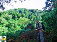 3-Day Gorilla trekking Experience at Bwindi Forest - Housity