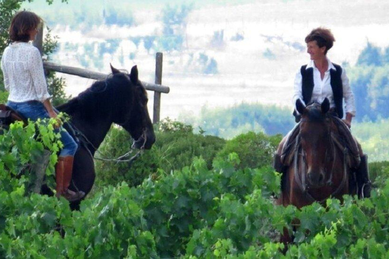 Reims: Horseback Riding Tour with Lunch
