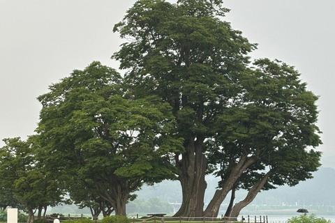 سيول: تجربة &quot;جانغ&quot; الكورية ورحلة صحية مع عشاءيانغبيونغ: تجارب الذواقة والعافية في يوم واحد.