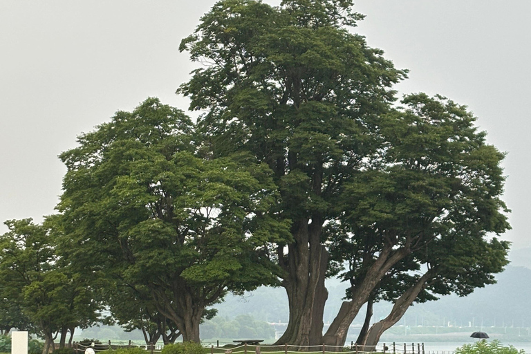 سيول: تجربة &quot;جانغ&quot; الكورية ورحلة صحية مع عشاءيانغبيونغ: تجارب الذواقة والعافية في يوم واحد.