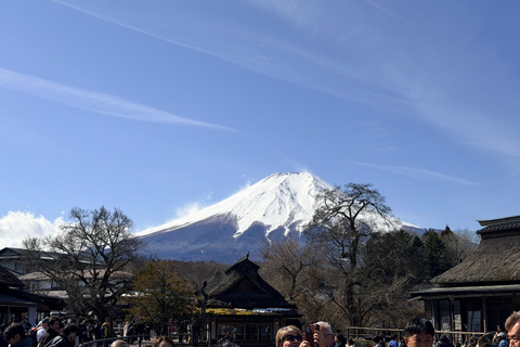 Tokyo: Private Daytrip to Mount Fuji - Fully Customizable Mt Fuji Private Luxury Van Tour (Customizable Experience)