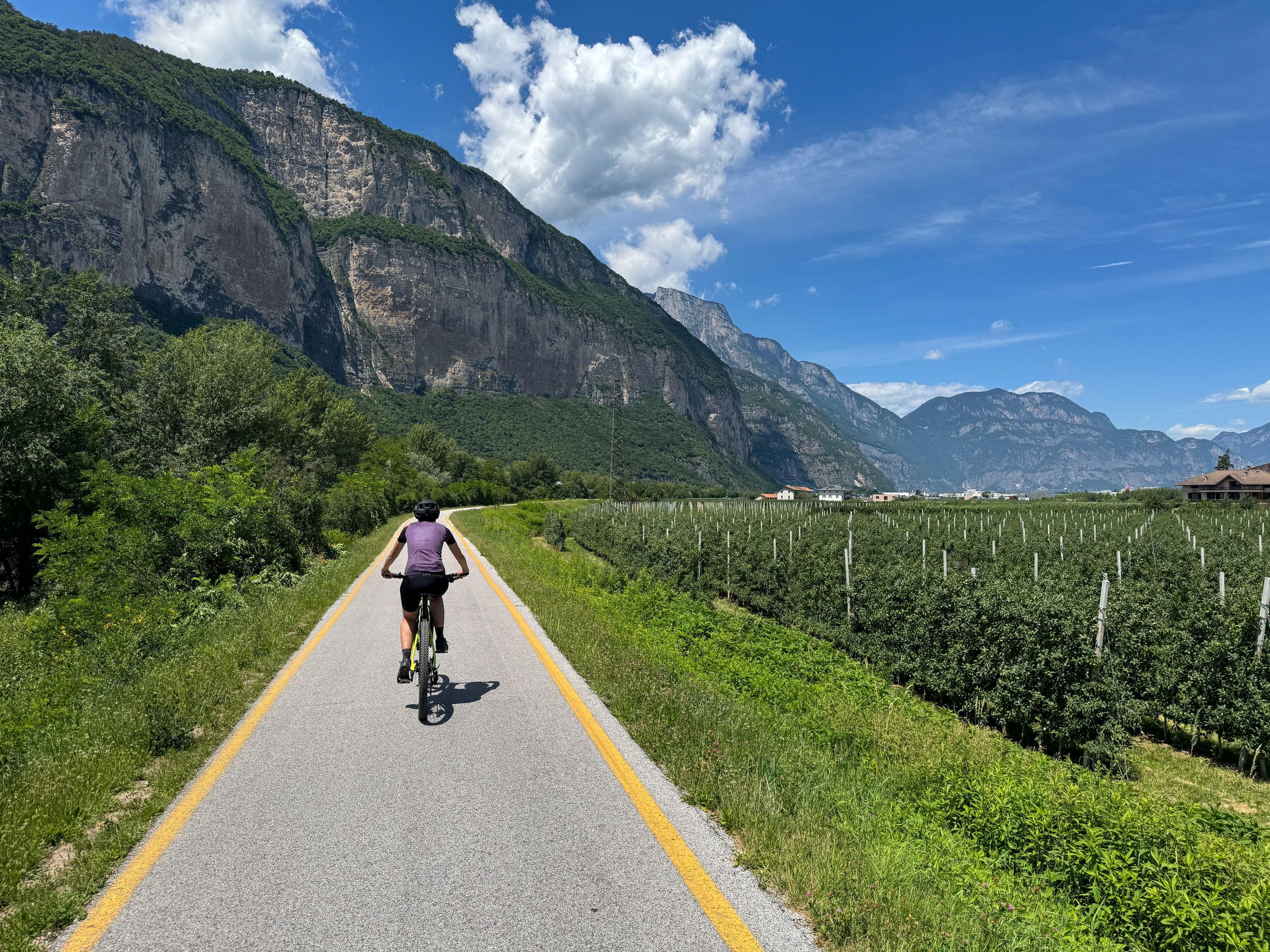 Trient: E-Bike-Tour durch die Weinberge mit Weinprobe