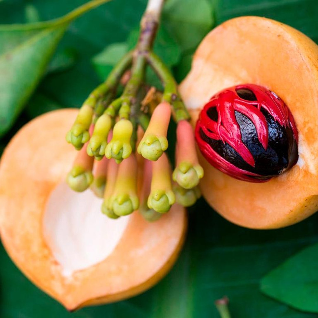 Pemba Island: Chake Chake and Spice Farm Tour | GetYourGuide