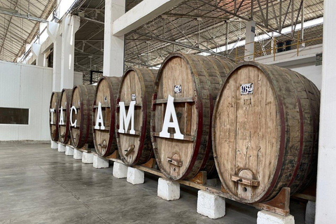 From Ica: Wine and Pisco Cellar Sightseeing Tour with Tastings and Transfers Premium Pisco Route (Afternoon)