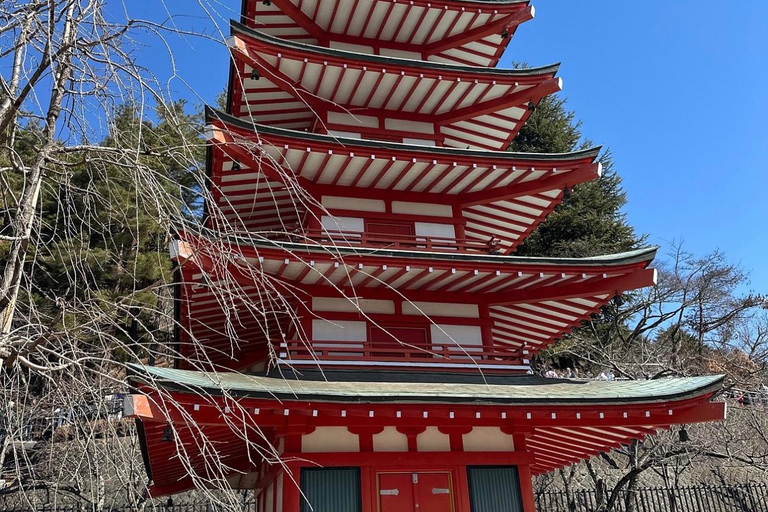 Mt Fuji Sightseeing Private tour with English Speaking Guide