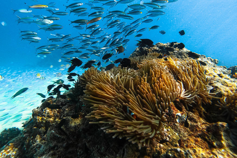 Krabi: Phi Phi Islands and Railay Sunset Tour