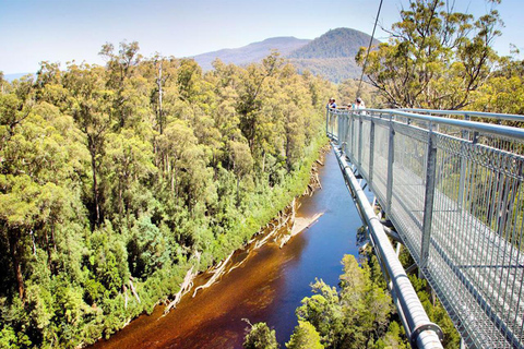 【Tasmania】10 Day All-Inclusive Hobart & Launceston Tour