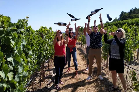 From Porto: Douro Valley Tour with Tastings, Boat & Lunch