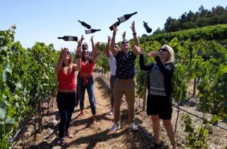 Von Porto aus: Kleingruppentour durch das Douro-Tal mit Weinverkostung