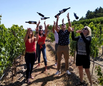 From Porto: Douro Valley Tour with Tastings, Boat & Lunch