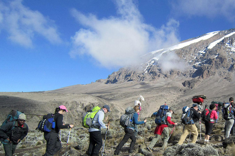 Tansania: Kilimanjaro, Safari und Sansibar Tour-Pakete