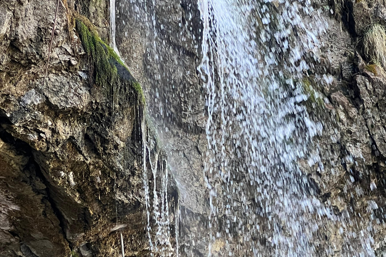 Il meglio della Svizzera L&#039;Oberland Bernese escursione di un giorno con la funivia