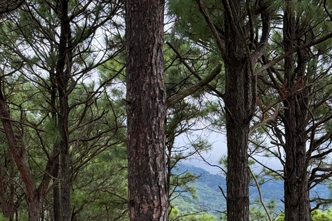 Santa Ana: wędrówka po wulkanie San Marcelino z lokalnym przewodnikiem.