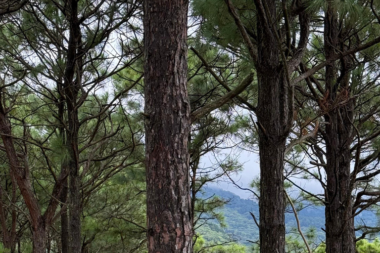 Santa Ana: wędrówka po wulkanie San Marcelino z lokalnym przewodnikiem.