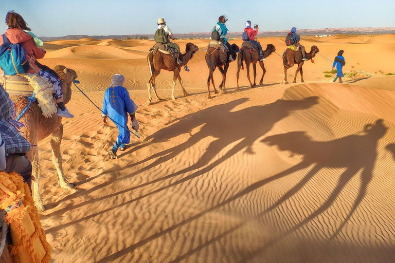 Desde Agadir: Paseo en Camello y Excursión a los Flamencos