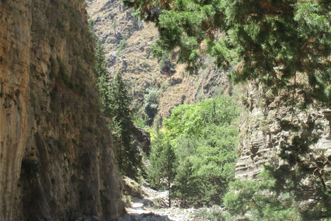 Desde Rethymno Ruta de un día por el desfiladero de Samaria con recogidaDesde Gerani, Petres, Dramia, Kavros y Georgioupolis