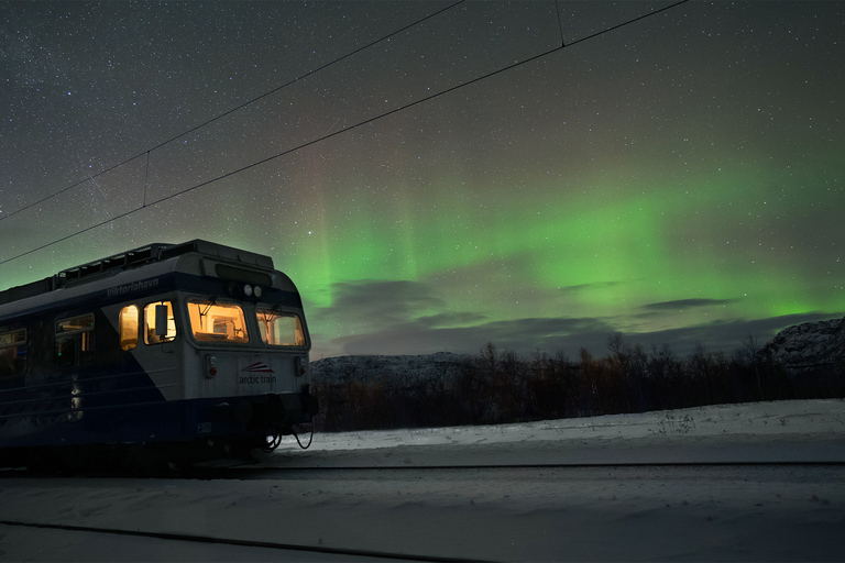 From Narvik: The Northern Lights Arctic Train Guided Tour