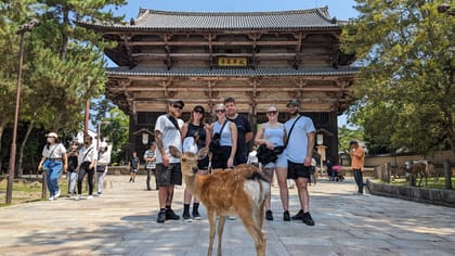 E-Bike Nara Highlights - Todaiji, Knives, Deer, Shrine - Housity