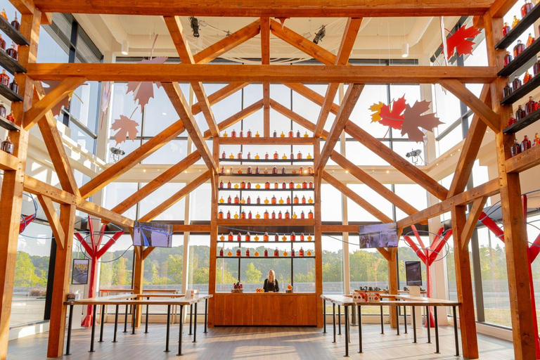 Toronto: Niagara Falls Evening Tour with Fireworks Tour + Boat Cruise (Journey Behind the Falls during winter)