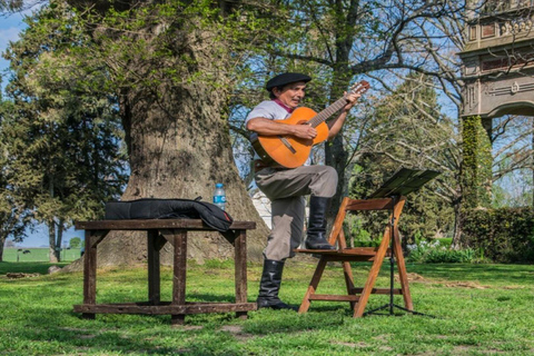 从布宜诺斯艾利斯出发：埃尔翁布德阿雷科（含接送服务）从布宜诺斯艾利斯出发：阿雷科的奥姆布树，含接送服务