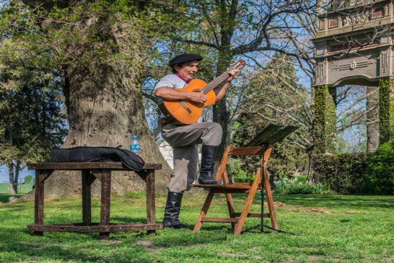 从布宜诺斯艾利斯出发：埃尔翁布德阿雷科（含接送服务）从布宜诺斯艾利斯出发：阿雷科的奥姆布树，含接送服务