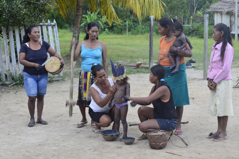 L&#039;Odyssée de l&#039;Amazonie : Explorez les merveilles de la forêt tropicale grâce à nos circuits !