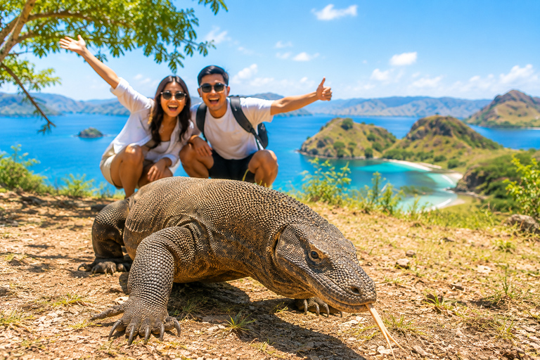 Labuan Bajo: 6 Island Komodo Speedboat Day Trip & Snorkeling