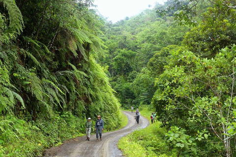 Living Nature z Cusco: 3 dni w dżungli Manu all inclusive