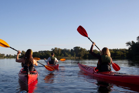 Warsaw: Kayaking ExperienceKayaking Experience: Exploring the heart of Warsaw