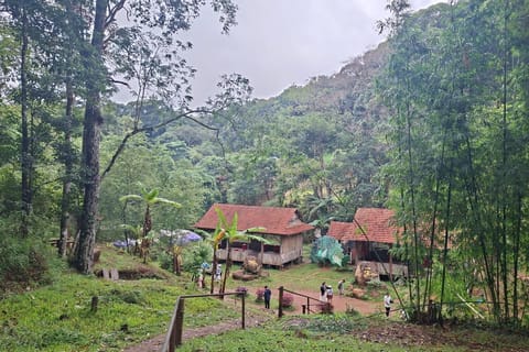 Da Nang: 2-Day Private Mang Den Highland Tour by Car - Image 2