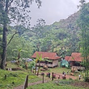 Da Nang: 2-Day Private Mang Den Highland Tour by Car