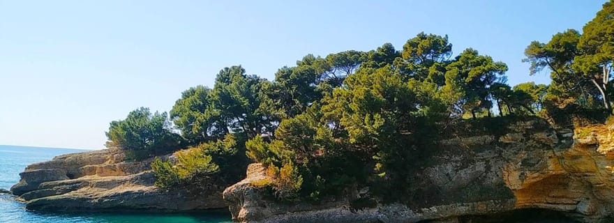 Du bar : Miracle of Nature - Une plage de guérison pour les femmes