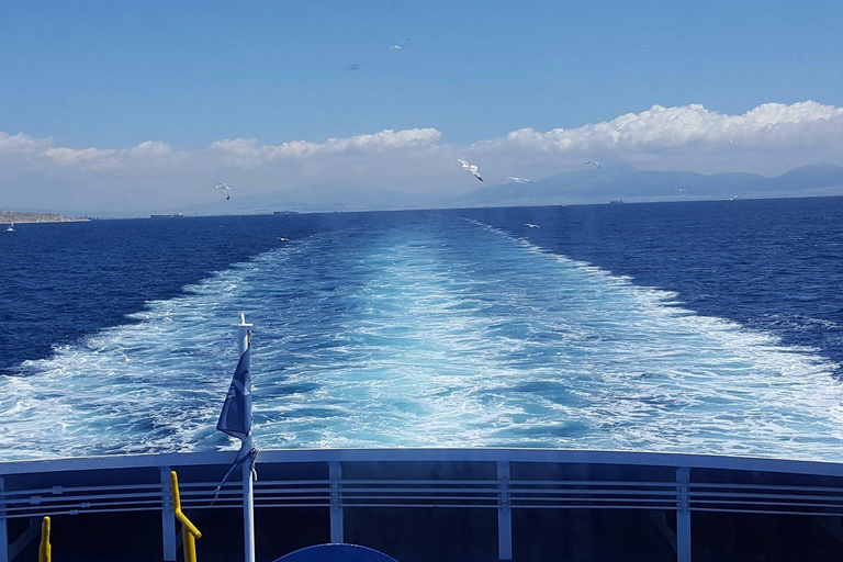 From Athens: Aegina Island Day Trip with Ferry Ride From Athens: Aegina Island Day Trip Without Ferry Tickets