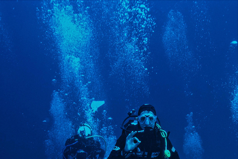Turtle Island Double Dive with Lunch: Alanya & Side Pickup
