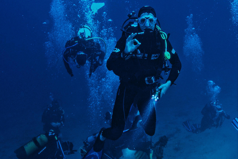 Turtle Island Double Dive with Lunch: Alanya & Side Pickup