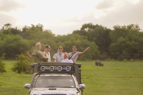 Minneriya: Private Family Wildlife Safari with Pickup