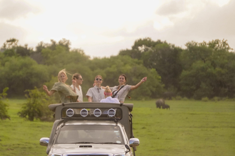 Minneriya: Private Family Wildlife Safari with Pickup