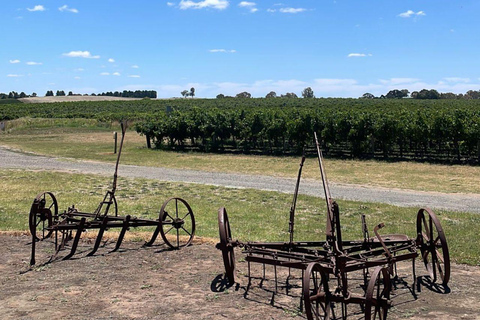 D'Adélaïde: Hahndorf et Barossa Valley avec Winery Lunch