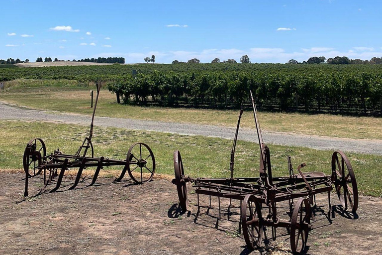 D'Adélaïde: Hahndorf et Barossa Valley avec Winery Lunch