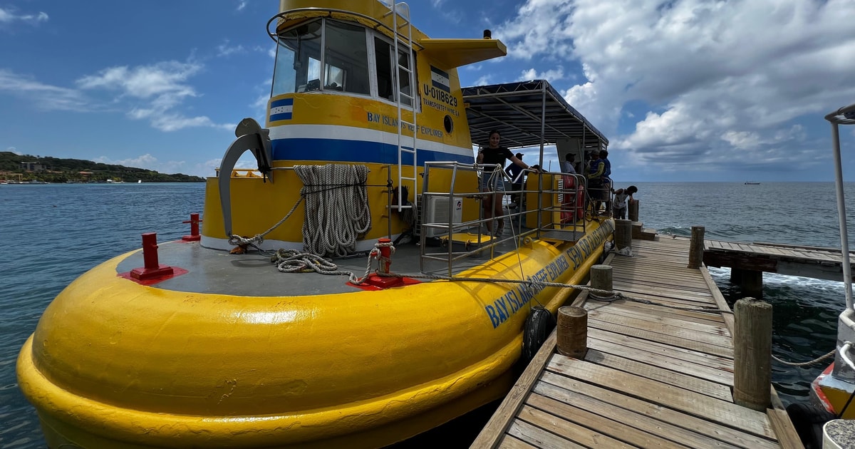 GlasbodenbootTour GetYourGuide