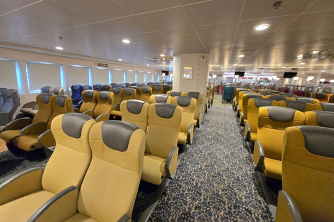 PanStar Busan Coastline Cruise & Sunset & Fireworks