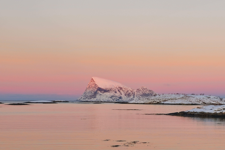 From Tromsø: Arctic Wildlife & Fjord Sightseeing Tour by Car From Tromsø: Arctic Fjord and Wildlife Tour by Car