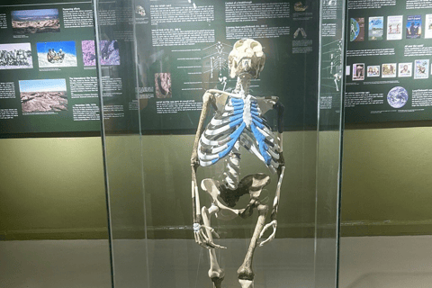 Addis Ababa Layover: Museums, Merkato, Walk & Coffee Tour